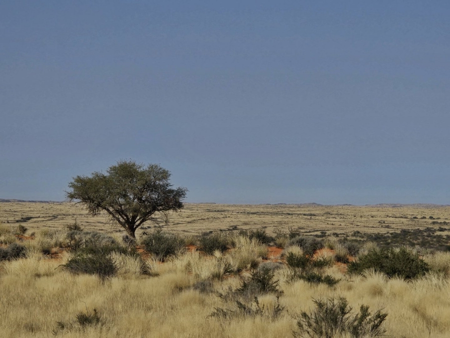 Commercial Property for Sale in Kenhardt Northern Cape